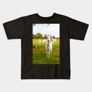 Domestic goats on green pasture Kids T-Shirt